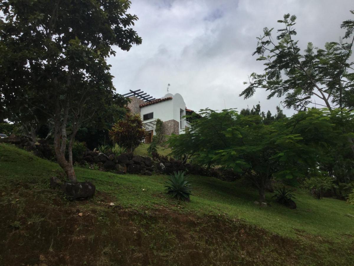 Hawk'S Nest Bed & Breakfast La Laguna de San Carlos Extérieur photo