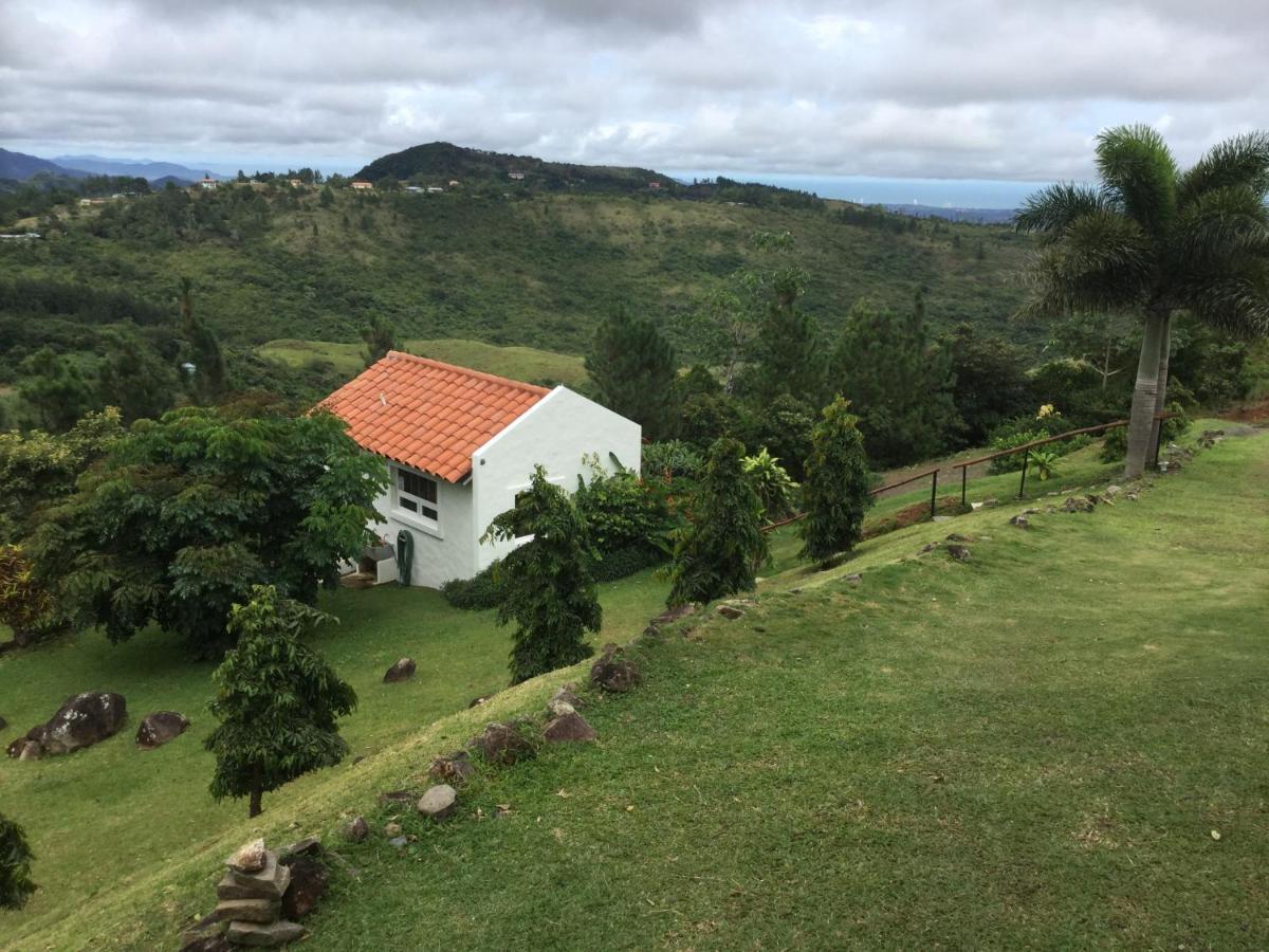 Hawk'S Nest Bed & Breakfast La Laguna de San Carlos Extérieur photo