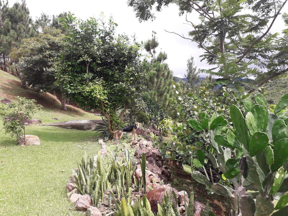 Hawk'S Nest Bed & Breakfast La Laguna de San Carlos Extérieur photo
