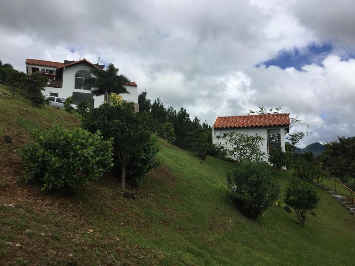Hawk'S Nest Bed & Breakfast La Laguna de San Carlos Extérieur photo