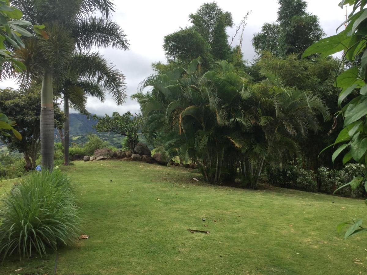 Hawk'S Nest Bed & Breakfast La Laguna de San Carlos Extérieur photo