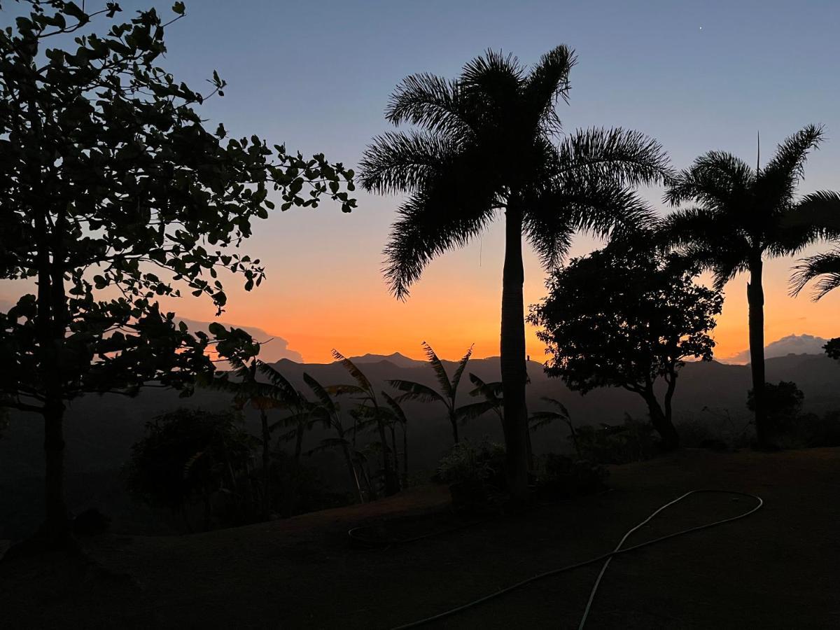 Hawk'S Nest Bed & Breakfast La Laguna de San Carlos Extérieur photo