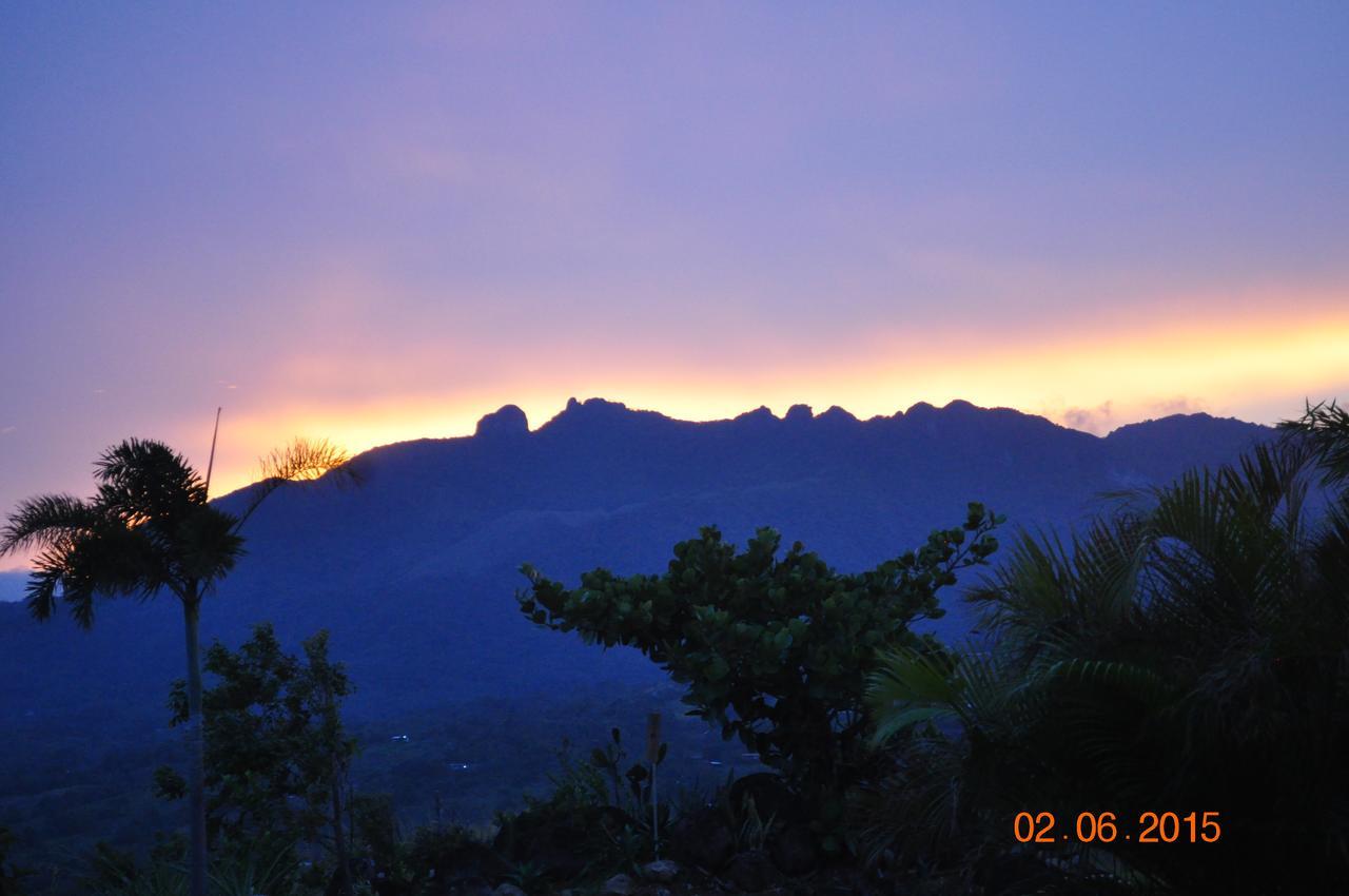 Hawk'S Nest Bed & Breakfast La Laguna de San Carlos Extérieur photo