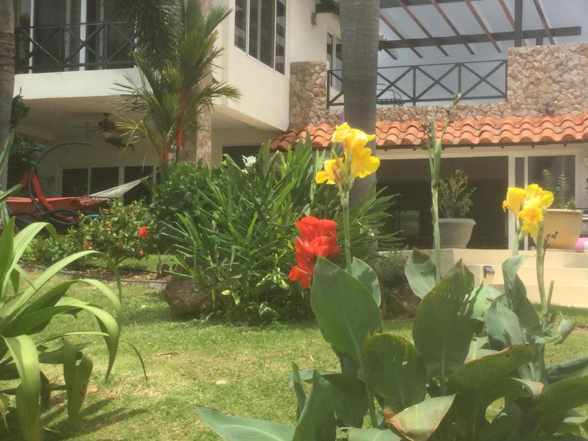 Hawk'S Nest Bed & Breakfast La Laguna de San Carlos Extérieur photo
